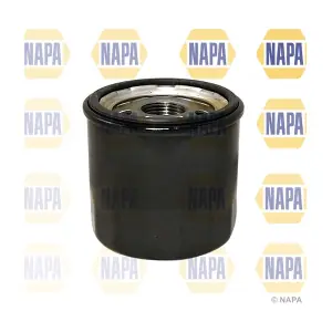 NFO3038 NAPA