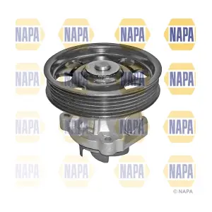 NWP1541 NAPA