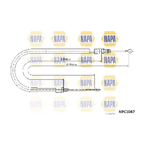 NPC1067 NAPA