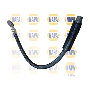 NBH1239 NAPA