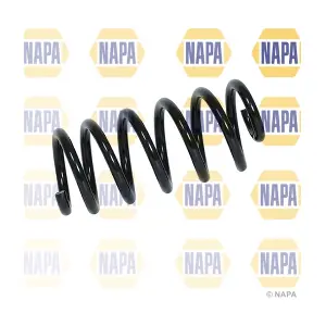 NCS2025 NAPA