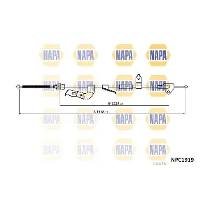 NPC1919 NAPA