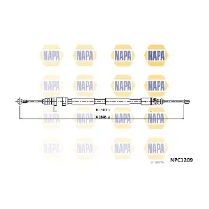 NPC1209 NAPA