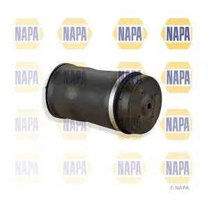 NAS1015 NAPA
