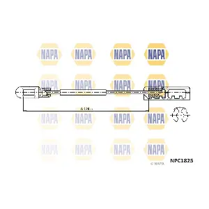 NPC1825 NAPA