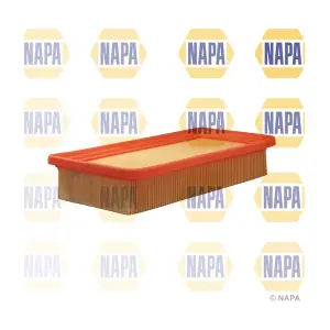 NFA1096 NAPA