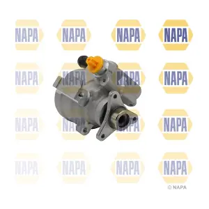NPS1174 NAPA