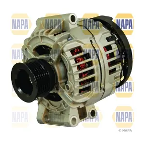 NAL1681 NAPA