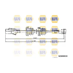 NCM5019 NAPA