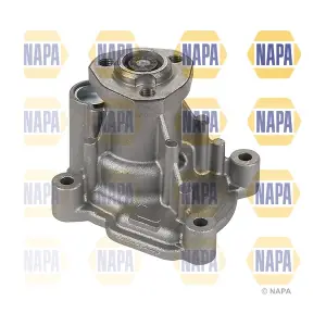NWP1686 NAPA