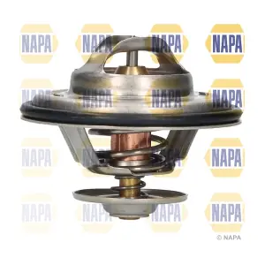 NTH1049 NAPA