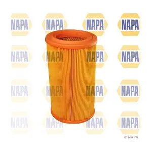 NFA1313 NAPA