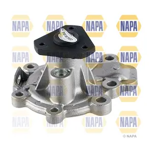 NWP1652 NAPA