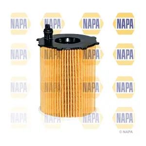 NFO3168 NAPA