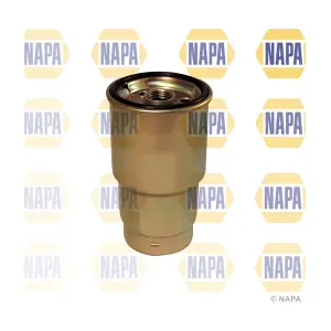 NFF2024 NAPA