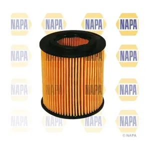 NFO3084 NAPA