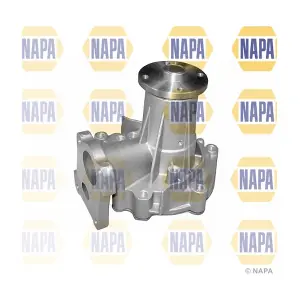 NWP1242 NAPA