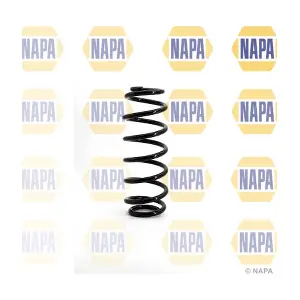 NCS1127 NAPA