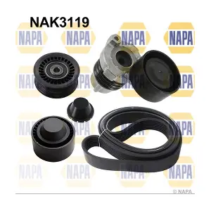 NAK3119 NAPA