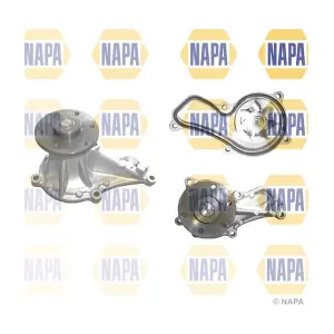 NWP1229 NAPA