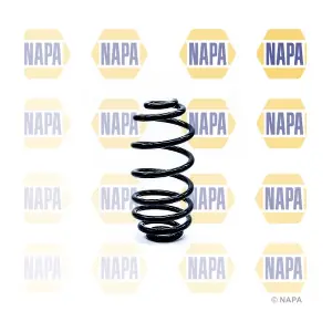 NCS1252 NAPA
