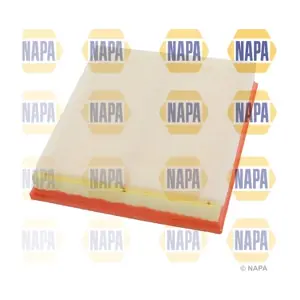 NFA1089 NAPA