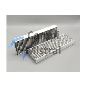 AVF0307C Mistral Filter