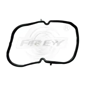 770300101 FREY