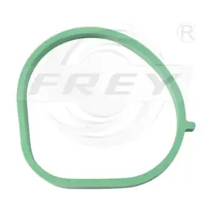 700603501 FREY