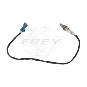 880613801 FREY