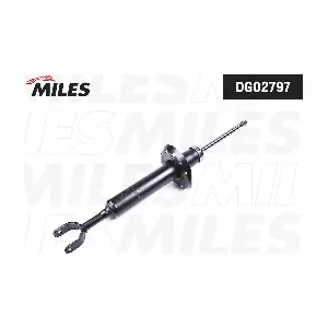 DG02797 MILES