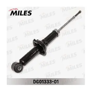 DG01333-01 MILES