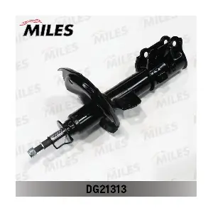 DG21313 MILES