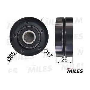 AG03047 MILES