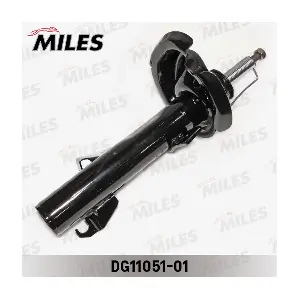 DG11051-01 MILES