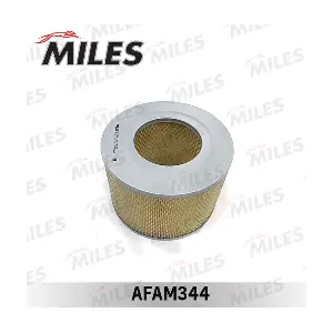 AFAM344 MILES