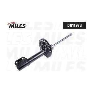 DG01615-01 MILES
