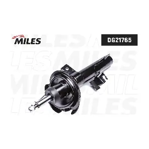 DG21765 MILES