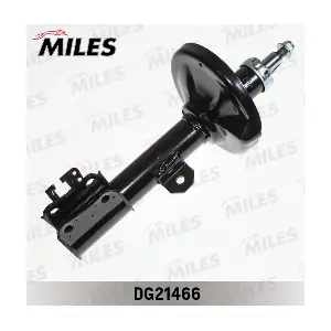 DG21466 MILES