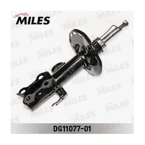 DG11077-01 MILES