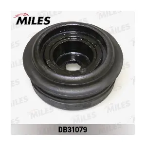 DB31079 MILES