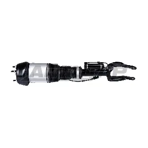 34-AS-0051 Amity AP