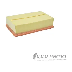 AG1573 GUD