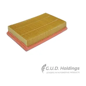 AG1456 GUD
