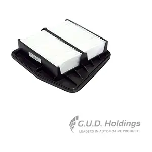 AG1533 GUD