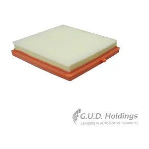 AG1682 GUD