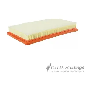 AG1819 GUD