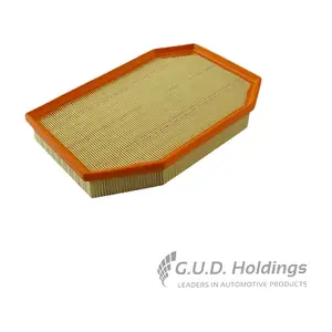 AG1489 GUD