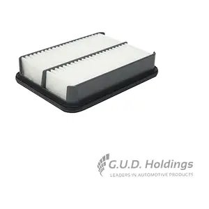 AG1555 GUD