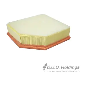 AG1662 GUD
